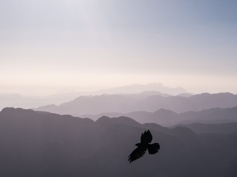 Eco-Friendly Adventures: Exploring the Outdoors Sustainably