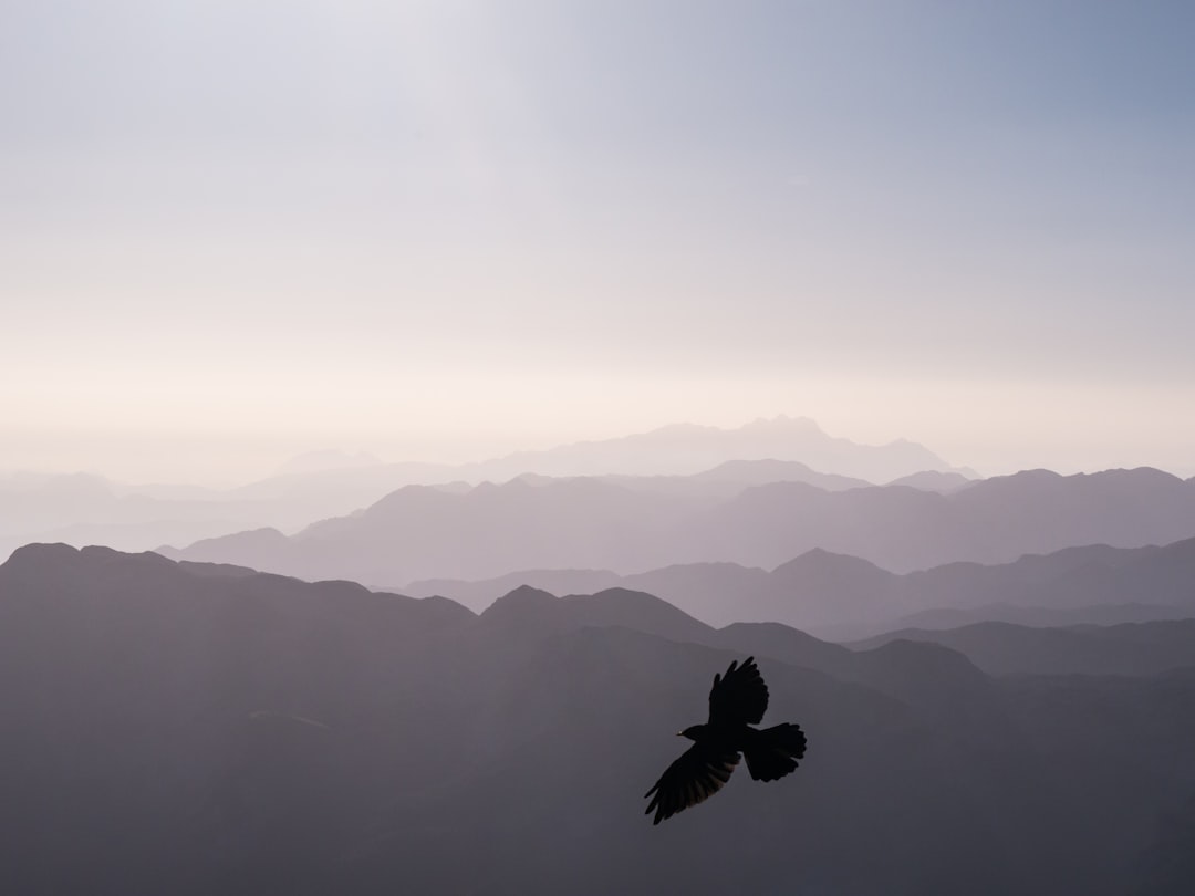 Eco-Friendly Adventures: Exploring the Outdoors Sustainably