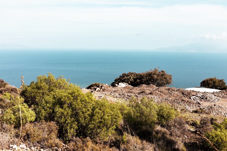Unleashing the Adventurer Within: Budget-Friendly Outdoor Travel Tips